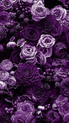 Untitled Deep Purple Flowers, Purple Bouquets, Purple Flowers Wallpaper, Purple Vibe, Purple Wallpaper Iphone, Beautiful Flowers Wallpapers, All Things Purple, Flower Phone Wallpaper, Pastel Purple