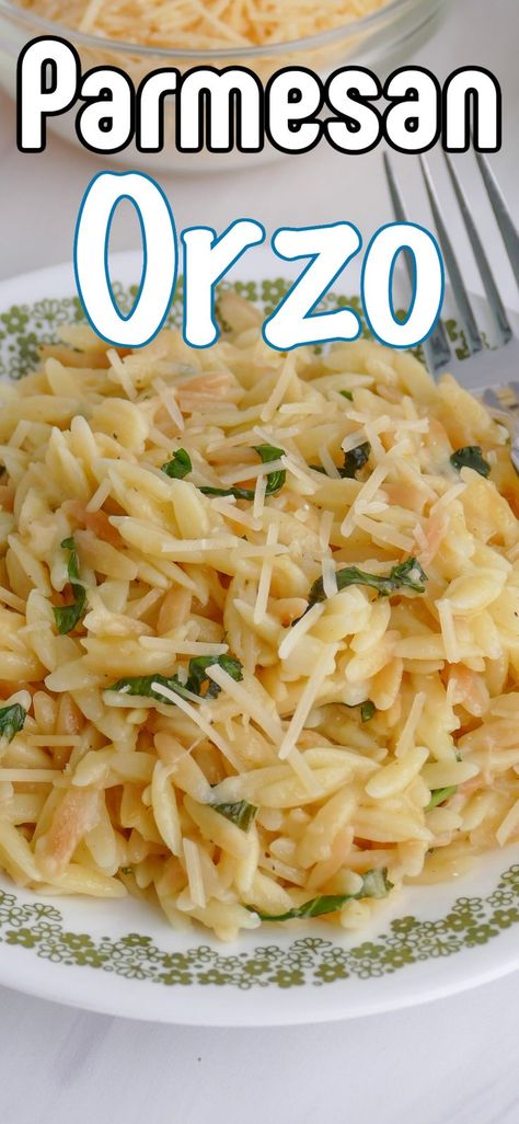 This easy Parmesan Orzo is a great and affordable side or meatless main dish. Full of flavor from chicken broth, butter, fresh basil and garlic. Orzo Recipes With Chicken, Orzo Recipes Side, Orzo Pasta Recipes, Parmesan Orzo, Fresh Herb Recipes, Best Lunch Recipes, How To Cook Orzo, Pasta Side Dishes, Orzo Recipes