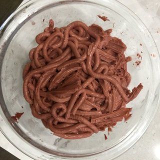 Worked great! My onl...-kpieper876 Edible Worms, Jello Worms, Halloween Jello, Cake Design Tutorial, Halloween Party Appetizers, Easy Vegan Dessert, Halloween Treats For Kids, Fun Halloween Food, Childrens Meals