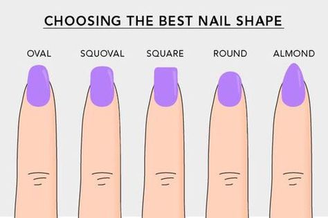 Fingernail shape chart Shape Your Nails, Nail Shaping, Nail Beds, Acrylic Nail Shapes, Different Nail Shapes, Nagel Tips, Nail Bed, Nails Square, Moon Shape