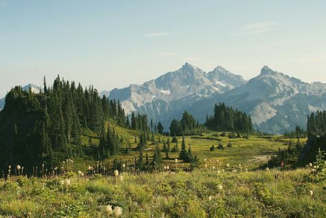 Mt. Rainier 300 X 300 Images, Laptop Wallpaper Nature, Scenery Photography Landscape, Wallpaper Nature Landscapes, Nature Photography Wallpaper, Landscape Pics, Siluete Umane, Mountains Landscape, Mt Rainier