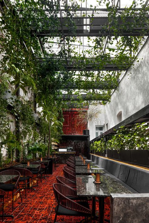 Xuva´ Restaurant / Mecate Studio | ArchDaily Mexico City Restaurants, Greens Restaurant, Architecture Restaurant, Restaurant Exterior, Desain Pantry, Rustic Restaurant, Restaurant Ideas, Rooftop Restaurant, London Restaurants