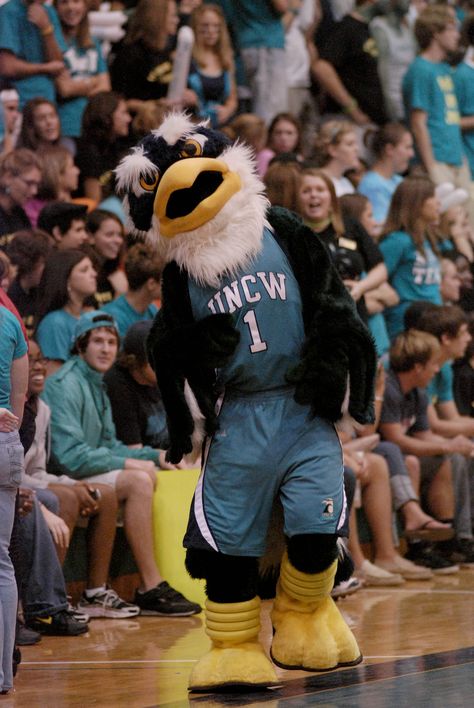 UNC-Wilmington Seahawks mascot, Sammy the Seahawk Uncw Seahawks Aesthetic, North Carolina Wilmington, Unc Wilmington, North Carolina Colleges, Coastal Carolina University, College Motivation, Vision Board Images, College Of Charleston, College Game Days