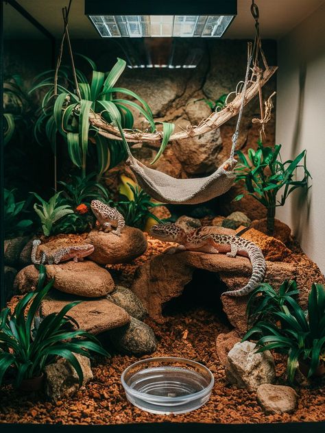 Leopard gecko tank setup ideas: Discover enchanting 10-gallon habitats that maximize style and comfort for your pet. Explore simple, yet effective leopard gecko habitat ideas today!

https://acuariopets.com/tank-setup-ideas-for-leopard-geckos/ Reptile Enclosure Ideas Leopard Geckos, Skink Lizard Habitats, Leopard Gecko Habitat Ideas Cute, Leopard Gecko Bioactive Vivarium, Day Gecko Enclosure, Geko Lizard Enclosure, Fairy Garden Leopard Gecko Tank, Humid Hide For Leopard Gecko, Bioactive Leopard Gecko Enclosure