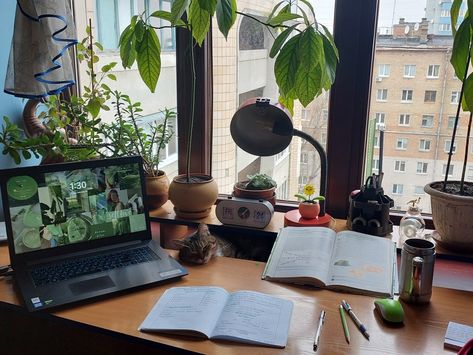 Academic Green Aesthetic, Green Studying Aesthetic, Study Aesthetic Landscape, Spring Study Aesthetic, Study Aesthetic Green, Green Study Aesthetic, Plants Study, Uni Tips, Desk With Computer