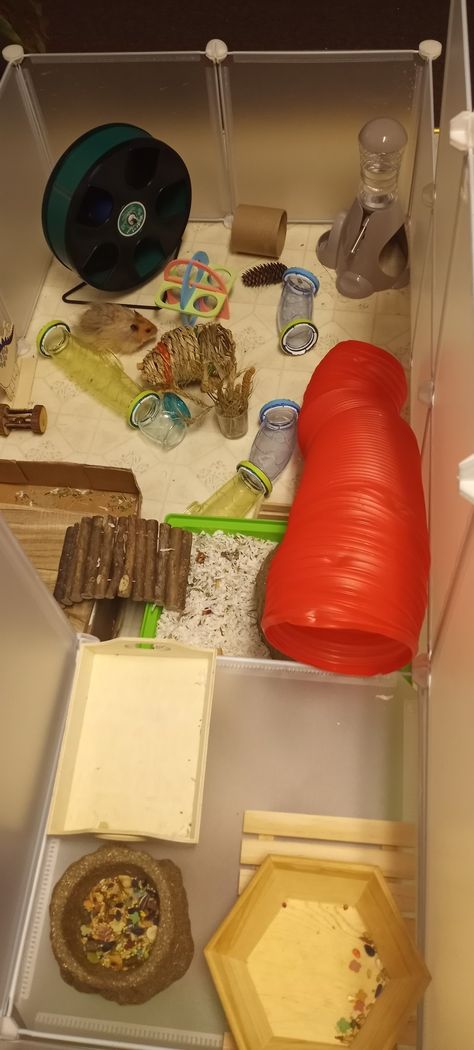 C&C playpen for my syrian hamster, Getty. He likes to explore so I tried to put a lot of spots to climb, hide and tunnel through. Hamster Playpen Ideas, Hamster Playpen, Playpen Ideas, Hamster Cages, Syrian Hamster, Mice, I Tried