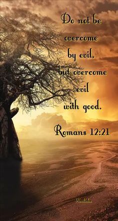 old tree Romans 12 21, Overcome Evil With Good, Faith Is The Substance, Evil World, The Lord Is Good, Think Deeply, Free Will, Thank You Lord, Meditation Space