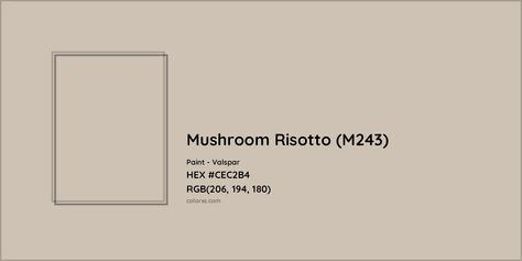 HEX #CEC2B4 Mushroom Risotto (M243) Paint Valspar - Color Code Valspar Mushroom Paint Colors, Pantone Tcx, Valspar Colors, Analogous Color Scheme, Paint Color Codes, Rgb Color Codes, Hexadecimal Color, Mushroom Paint, Rgb Color Wheel