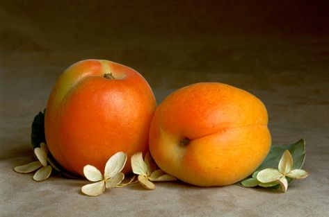 Fruit Still Life Photography, Apricot Fruit, Fruit Still Life, Fruits Photos, Watercolor Subjects, Still Life Photos, Still Life Oil Painting, Still Life Art, Seed Pods