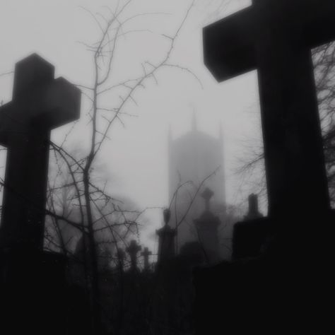 Foggy Graveyard, Graveyard Aesthetic, Dark Angelcore, Paradis Sombre, Lup Singuratic, White Goth, Arte Peculiar, Crystal Castle, Zucca Halloween