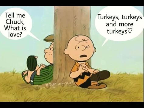 Hunting Humor Hilarious, Funny Hunting Pics, Funny Turkey Memes, Hunting Quotes, Hunting Meme, Funny Hunting Memes Hilarious, Turkey Hunting, Hunting Fishing, Hunting