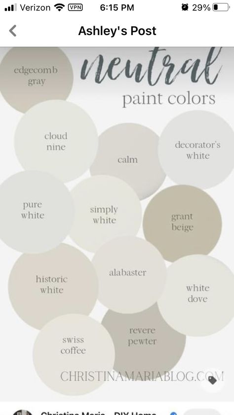 Modern Transitional Wallpaper, Top Living Room Paint Colors 2023, Sherman Williams Natural Choice, Neutral Aesthetic Home, Design Style Guide, Transitional Design Style, Paint Pallet, Condo Decor, Rustic Basement