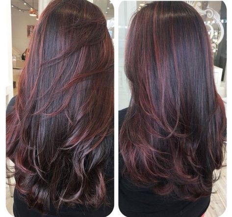 Hair With Red Highlights, Pelo Color Vino, Red Balayage Hair, Hair Ideas For Brunettes, Fall Hair Ideas, Black Hair Balayage, Wine Hair, Red Hair Inspo, Brown Hair Inspo