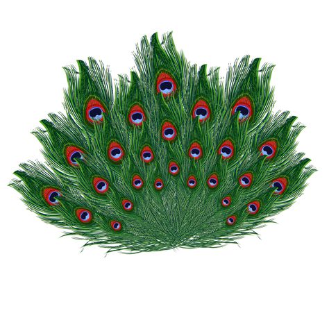 Feather Png, Dancing Peacock, Png Hd, Peacock Feathers, Krishna Images, Animal Skin, Indian Designer, Peacock Feather, Neck Pattern