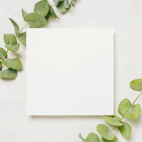 Leaves twigs on the corner of white wedding card against backdrop Photo | Free Download White Wedding Card, Frame Mockup Free, Photo Frame Wallpaper, Background Frame, Paper Background Design, 패턴 배경화면, Instagram Frame Template, Frame Wedding, Artificial Leaf