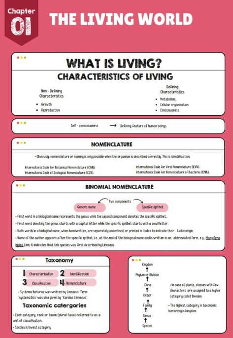 Class 11 , short notes,for rapidrevision ✨☺️ Biology Class 11, Learn Biology, Short Notes, Biology Classroom, Study Flashcards, Revision Notes, Class 11, Biology Notes, Class 12