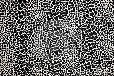 Rough Lizard Skin Royalty Free Stock Photography - Image: 2728557 Animal Skin Texture, Black White Texture, Lizard Skin, Lizard Print, Stencil Pattern, Graphics Inspiration, Texture Background, White Texture, Animal Skin