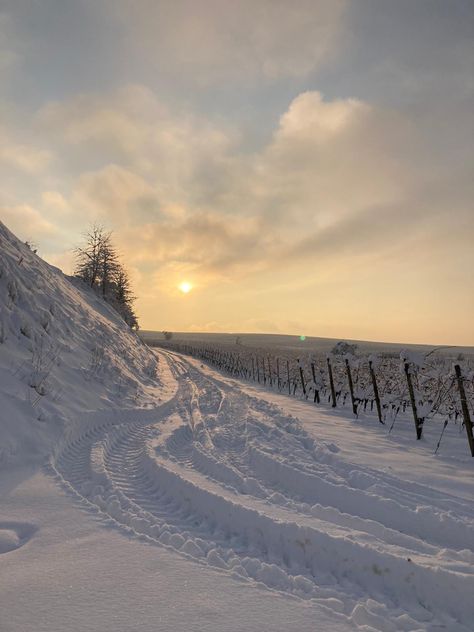 Snow Snow Day Aesthetic, Snow And Sun, Wallpaper Winter, Winter Survival, I Love Snow, Snow Pictures, Snow Days, Sky Pictures, A Court Of Mist And Fury