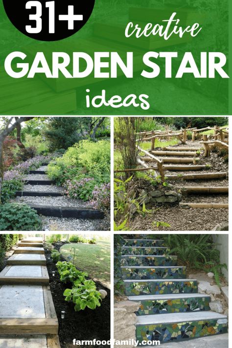 Sloping Pathway Walkways, Forest Steps Pathways, Garden Steps On A Slope, Hill Steps, Stair Garden, Dry Riverbed Landscaping, Landscaping Architecture, Hydrangea Landscaping, Stair Ideas