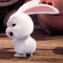 Bunny Snowball GIF - Bunny Snowball TheSecretLifeOfPets - Discover & Share GIFs Rabbit Gif, Cute Bunny Cartoon, Disney Gif, Gif Lucu, Dancing Gif, Secret Life Of Pets, Cute Cartoon Pictures, Cartoon Gifs, Animal Jokes