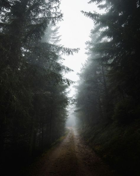 Desolate Landscape, Misty Woods, Mountains In Italy, Grand Canyon Village, Image Cloud, Foggy Mountains, Nice Pic, Foggy Forest, The Dolomites