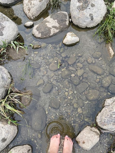 River Picnic Aesthetic, River Bank Aesthetic, Riverbank Aesthetic, Siliguri Aesthetic, River Aesthetic Summer, River Picnic, River Aesthetic, Spotify Ideas, Chestnut Springs