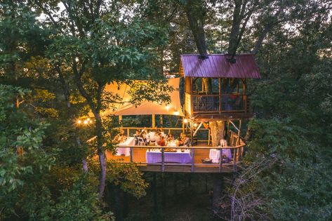 Treehouse Weddings, Treehouse Wedding, Red Oak Tree, Sean Anderson, Low Country Boil, Canvas Canopy, Wedding Venues North Carolina, Mountain Wedding Venues, Bbq Wedding