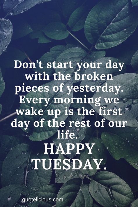 Tuesday Quotes and Sayings 31 Funny Tuesday Quotes, Tuesday Quotes Funny, Funny Tuesday, Good Morning Saturday Wishes, Tuesday Motivation Quotes, Activism Quotes, New Month Quotes, Happy Tuesday Quotes, Feminism Quotes