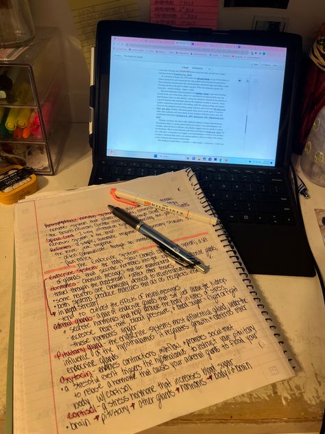 Pyschology Girl Aesthetic, Ap Psychology Notes, Ap Aesthetic, Rory Gilmore Aesthetic Study, Academic Inspiration, Studies Aesthetic, Rory Gilmore Aesthetic, Gilmore Aesthetic, Ap Psychology