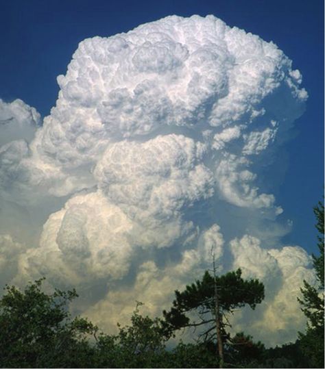 Cumulonimbus Cloud, Weather Cloud, Cumulus Clouds, Wild Weather, Theme Nature, Clouds Photography, Foto Art, Storm Clouds, Sky Art