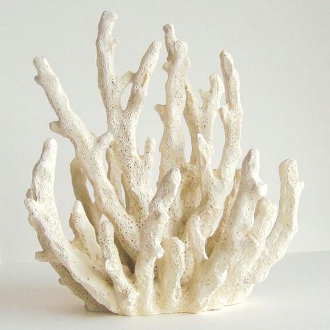 Beautiful white coral statue from ebay: something similar for my rings? Coral Sculpture, Art Coquillage, Coral Decor, Coral Art, Sea Coral, Glam Decor, Aquarium Decor, Creative Co Op, White Coral