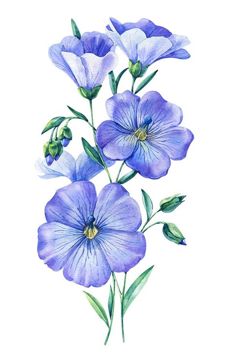 Watercolor flowers 2020 on Behance Watercolor Tulips, Seni 2d, Flower Art Drawing, Flower Painting Canvas, Flower Sketches, Floral Drawing, Watercolor Flower Art, 수채화 그림, Watercolor Art Lessons