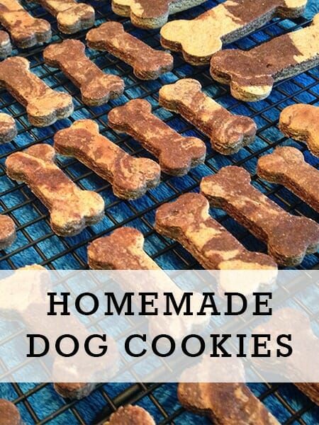 Spoil the special pooch in your life with freshly made, wholesome DIY dog treats that you can feel good about giving them. More than 100 dog treat recipes to choose from. Milkbone Dog Treat Recipe, Meaty Dog Treats, Dehydrating Dog Treats Recipe, Silicone Mold Dog Treats, Dog Biscotti Recipe, Dog Bakery Recipes, Diy Dog Treats To Sell, Chicken Dog Treats Recipes, Dog Pancakes