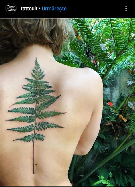 Fern Tattoo Back, Fern Tattoo, Tattoo Back, Beautiful Flower Tattoos, Sweet Tattoos, Plant Tattoo, Botanical Tattoo, Tattoo Project, Baby Tattoos