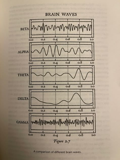 Brain Frequencies, Frequency Waves, Theta Waves, Healing Journal, Alpha Waves, Physics Notes, Waves Line, Info Design, Double Bass