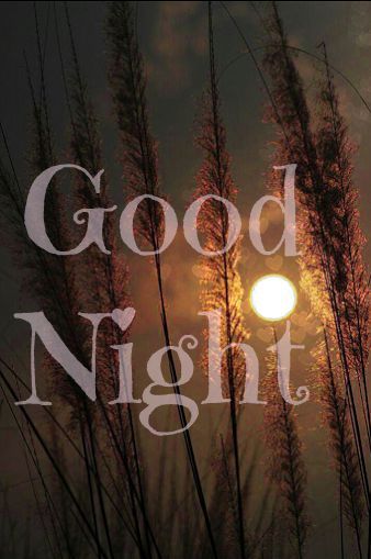 good night card Sweet Dream Quotes, Good Night Cards, Good Night Wallpaper, God Natt, Slaap Lekker, Good Night Friends, Good Night Gif, Good Night Blessings, Night Messages