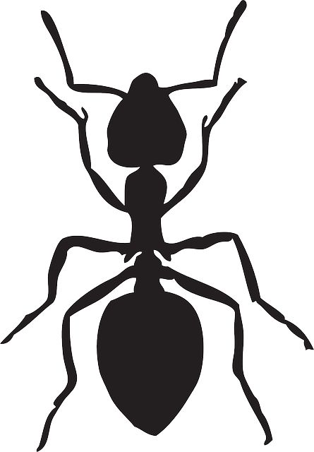 Free vector graphic: Ant, Insect, Animal - Free Image on Pixabay - 159283 Ant Tattoo, Ant Art, Ant Insect, Logo Animal, Bug Art, Stencil Patterns, Insect Art, Unique Tattoo, Bugs And Insects