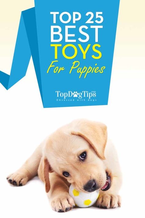 Things For Puppies, Best Toys For Puppies, Best Puppy Toys, Toys For Puppies, Kong Dog Toys, Dogs Toys, Toys For Dogs, Puppy Toys, Dog Toys Indestructable