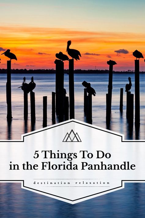 Panhandle Florida Things To Do, Florida Panhandle Things To Do, Panhandle Florida, Florida Panhandle, 5 Things, Things To Do, Florida, Good Things