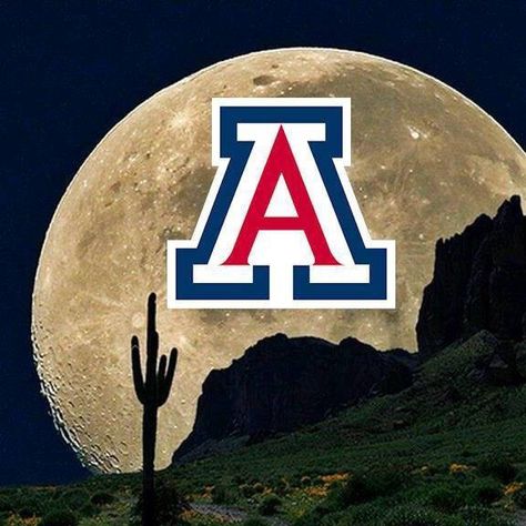 .... U Of Arizona, Arizona Wildcats Logo, Asu Graduation, Az Cardinals, Wildcats Logo, Country Vibe, Football College, College Closet, Wildcats Basketball