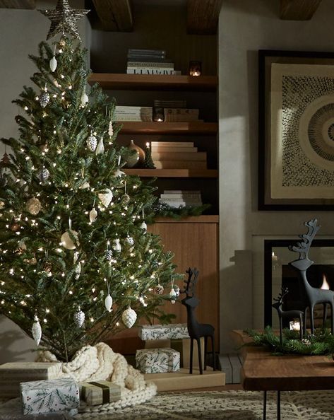 Crate And Barrel Christmas Tree, Crate And Barrel Christmas, Everything Christmas, Types Of Christmas Trees, Baking Decorating, Favorite Christmas Songs, Entertaining Gifts, Black Christmas Trees, Decorations For Home