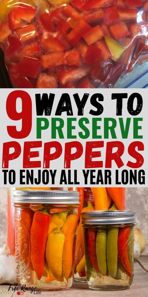 Preserve Peppers, Preserving Peppers, Canning Hot Peppers, Pickled Pepper Recipe, Canning Peppers, Pickled Hot Peppers, Hot Pepper Recipes, Sweet Pepper Recipes, Pickled Peppers