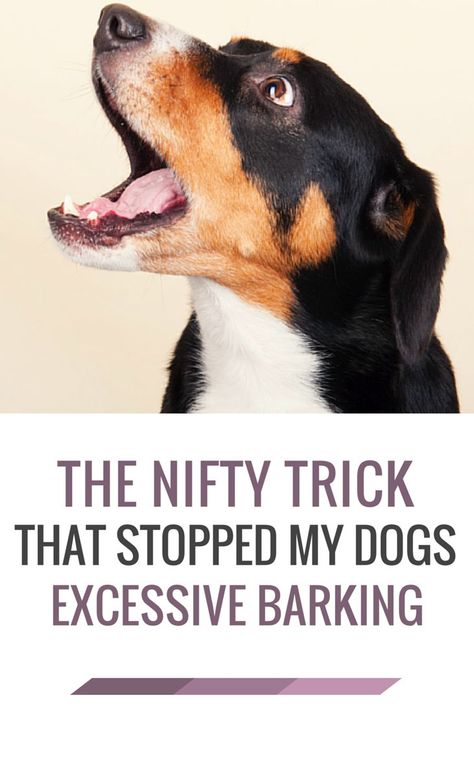 Dog Aggression, Stop Dog Barking, Dog Behavior Problems, Game Mode, Dog Training Advice, Dog Brain, Dog Training Techniques, Best Dog Training, Aggressive Dog