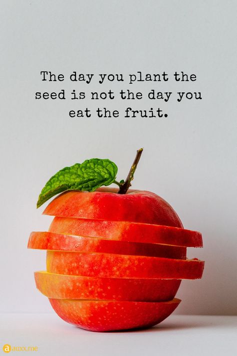 The day you plant the seed is not the day you eat the fruit. #apple Apple Quotes, Fruit Quotes, Plant Quotes, Plants Quotes, Medical Billing And Coding, Billing And Coding, Bible Printables, Creativity Inspiration, Apple Seeds