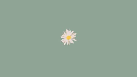 This image is 1366px x 768px. Mint Green Desktop Wallpaper, Daisy Desktop Wallpaper, Green Desktop Wallpaper, Green Mint, Wallpaper Pc, Desktop Wallpaper, Mint Green, Daisy, Layout