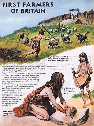 The Wonderful Story of Britain: The First Farmers of Britain Prehistoric Fashion, Early Humans History, Stone Age People, Stone Age Man, Neolithic Revolution, Stone Age Art, Neolithic Period, Prehistoric Man, Learn History