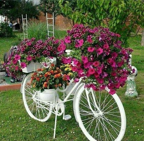 17 Super ideas for garden decorations made from old bicycles | My desired home Kebun Herbal, Taman Diy, Tanaman Indoor, Tanaman Pot, Small Front Yard Landscaping, نباتات منزلية, Desain Lanskap, Backyard Diy Projects, Have Inspiration