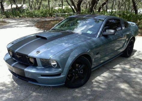 2005 Mustang Gt, 1979 Mustang, 2009 Mustang, 2005 Mustang, Mustang Engine, Blue Mustang, Mustang Bullitt, Mustang Gt500, Fiat Chrysler Automobiles