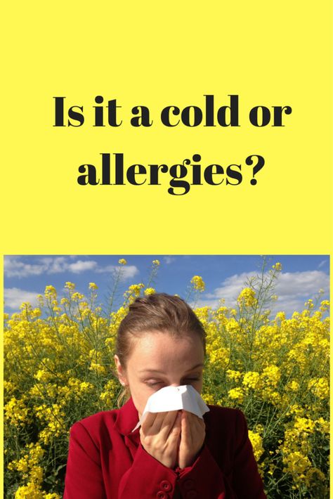 How to tell the difference between a cold and allergies. Learn the questions to ask yourself to determine if it's a cold or allergies. Home Remedies For Allergies, Cold Or Allergies, Allergy Medicine, Questions To Ask Yourself, Ask Yourself, Questions To Ask, Home Remedies, Allergies, To Tell