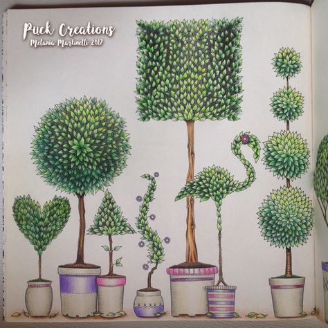 Secret Garden Coloring Book By Johanna Basford Joanna Basford Secret Garden, Johanna Basford Secret Garden Coloring Book, Secret Garden Coloring Book Finished, Secret Garden Coloring, Nursery Drawings, Basford Secret Garden, Joanna Basford Coloring, Johanna Basford Secret Garden, Garden Coloring